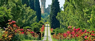 viaggio-in-pullman-parco-sigurta