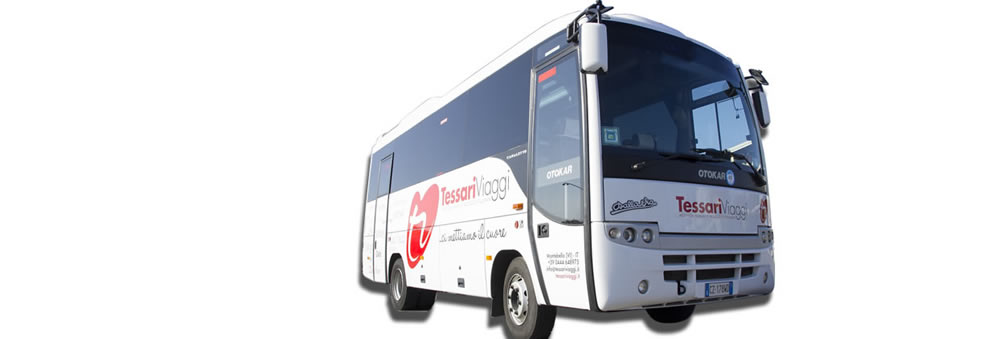 noleggio-minibus-con-autista