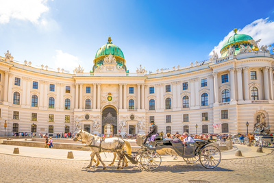 tour-in-pullman-vienna