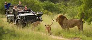 viaggio-di-nozze-safari-africa